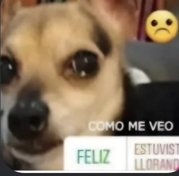 moiposting's tweet photo. últimamente me siento así https://t.co/ZLOX2GnTMR
