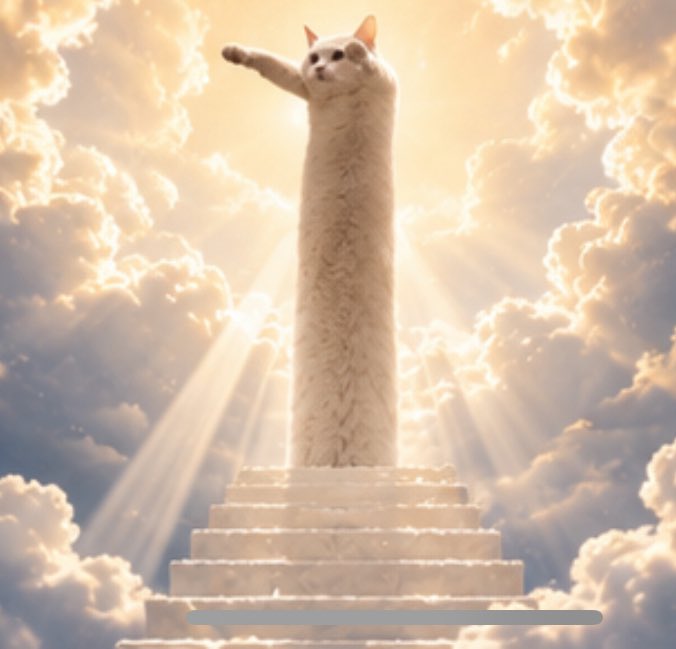 LONGCATxSOL's tweet photo. Thou shall get longer! https://t.co/06dPYO3HAG