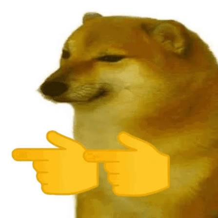 ashthequant's tweet photo. SHIBA COINS HAVE BEEN SENDING TODAY AND WE HAVEN'T SENT THE MOST MEME'D SHIBA EVER???  

Somehow Balltze hasn't been launched with Paid fees to the owner yet...  

Balltze (Dogs real name) also known as Cheems has been the post meme'd and popular Shiba online over the passed 5 years...  

Fees going to the main account of Balltze

https://t.co/MM72p6qoyk