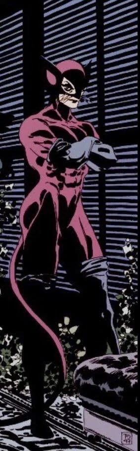 trappola_writes's tweet photo. @dee_nahlance @BlendSequencer You need to choose better artists. Tim Sale Catwoman was BUFF. https://t.co/FTnAsWofVY