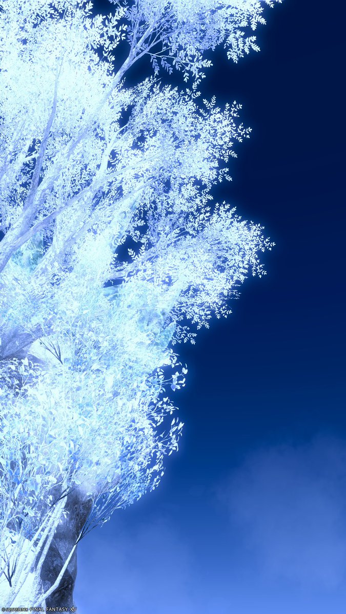 Nora_ff14's tweet photo. #FF14
#FF14風景 https://t.co/UKAoHyu93u