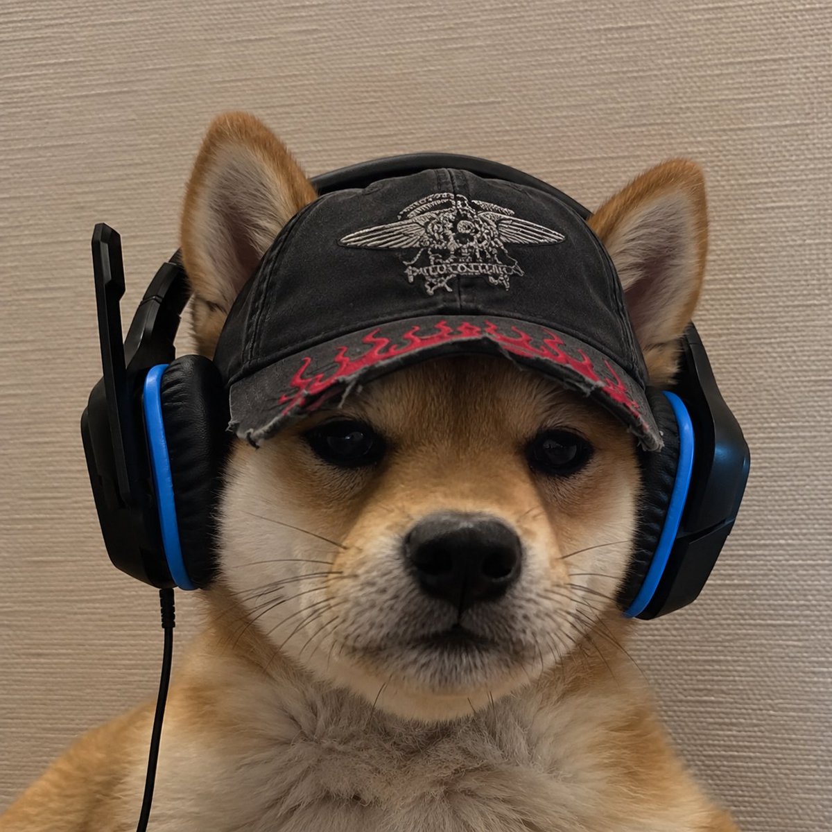 roomtempdev's tweet photo. “yo whats good kimchi... what are you doing on so late”

meet $INUENTOS
🎧🐕 https://t.co/Wm7eDSjYOQ
