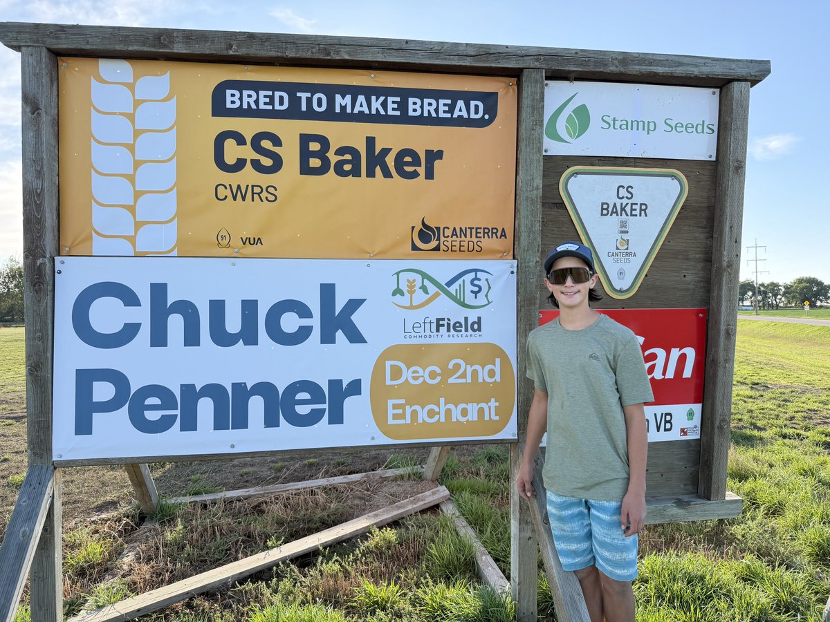 Stampseeds's tweet photo. CS Baker CWRS - new for 2027 😀
Yield, + quality 
https://t.co/RieOdShrzS https://t.co/XCTOB0SKny