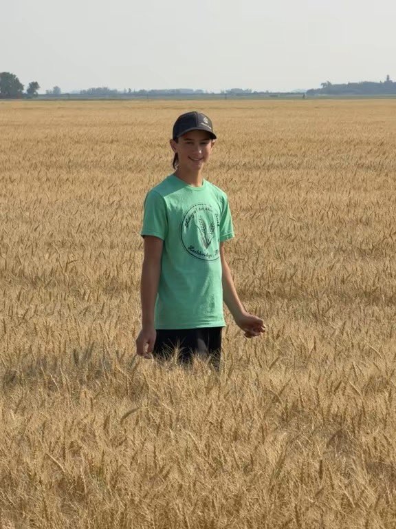 Stampseeds's tweet photo. CS Baker CWRS - new for 2027 😀
Yield, + quality 
https://t.co/RieOdShrzS https://t.co/XCTOB0SKny
