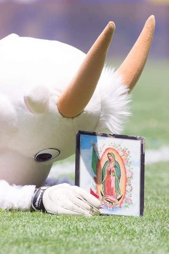 Archivismo's tweet photo. Dios te salve María, llena eres de gracia, el señor es contigo, bendita tú eres entre todas las mujeres y bendito es el fruto de tu vientre Jesús, Santa María Madre de Dios ruega por nosotros los pecadores ahora y en la hora de nuestra muerte Amén. https://t.co/22sohlQFJ5