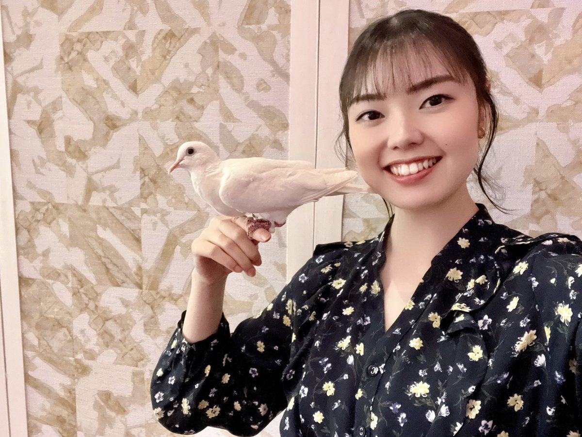 SS_SBbox's tweet photo. 幻想奇術空間 シンビーボックス 第3回公演
『天翔ける心ー松旭斎天勝物語』

キャスト紹介‼️
✨渡辺 真香さん✨

https://t.co/XRP2rWCNy4 https://t.co/TPh2e5laDr