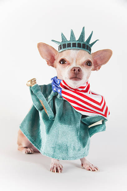 scheeoz9i's tweet photo. 礼文島の朝霧は冬になるとしっとりとした表情を見せる。 https://t.co/VRxrc4GRIc