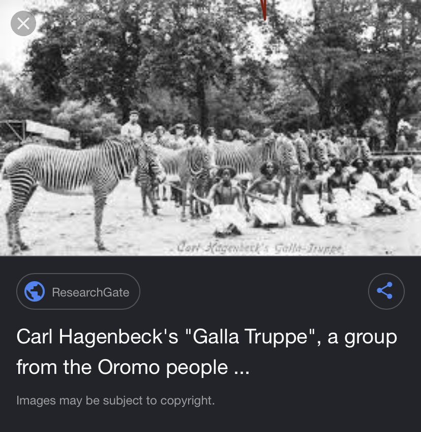 elonisafn's tweet photo. @OromiaGoon @hornofLibaaxs @Daddy37571185 @mexicopack78 Keep coping oromo🤣 https://t.co/m8x72A1dxu