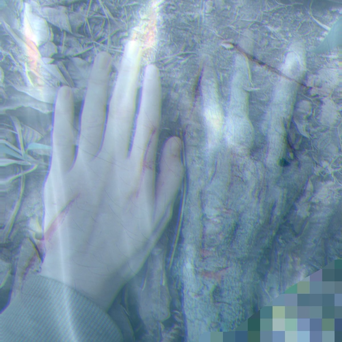 bombestgal's tweet photo. wow look at that AI generated piece of wood featuring sfx makeup 🥺. no person harmed in the making of this whatsoever.      shrtwt ouchietwtt https://t.co/FU6JbdedmF