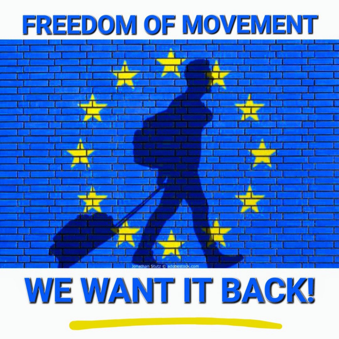 BrexitBin's tweet photo. @LibDems @munirawilson That potential must also include the freedom freedom to study, live,  love, work, and set-up business across the 30+ countries of the EU's Single  Market.
#RejoinEU  🇬🇧🇪🇺 https://t.co/Ly5OWUNmDd