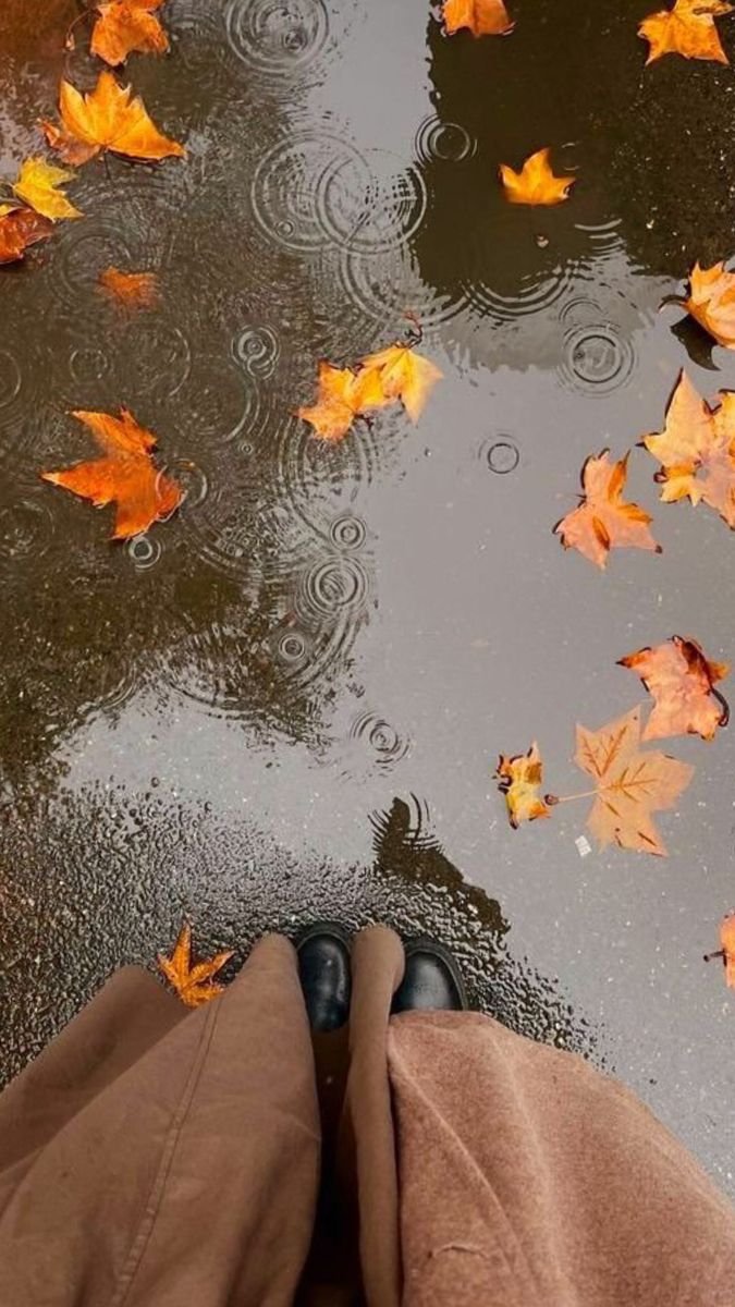 purelivn's tweet photo. fall 🍂🍁 https://t.co/kF7I5ssrwk