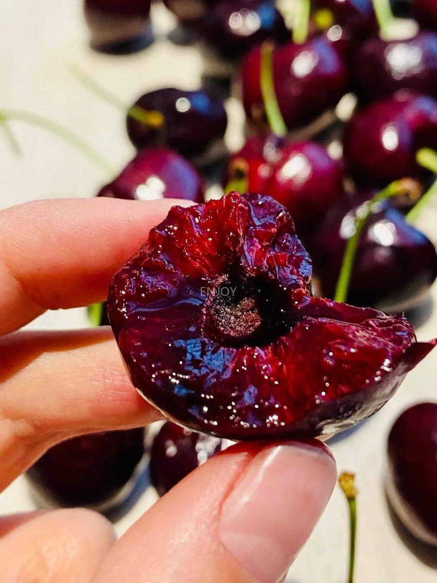 e96227794's tweet photo. [Tried the farm-fresh cherry tomatoes this morning—burst with natural sweetness, no weird aftertaste! Perfect for salads or snacking. ]， https://t.co/R71eFYpkkx