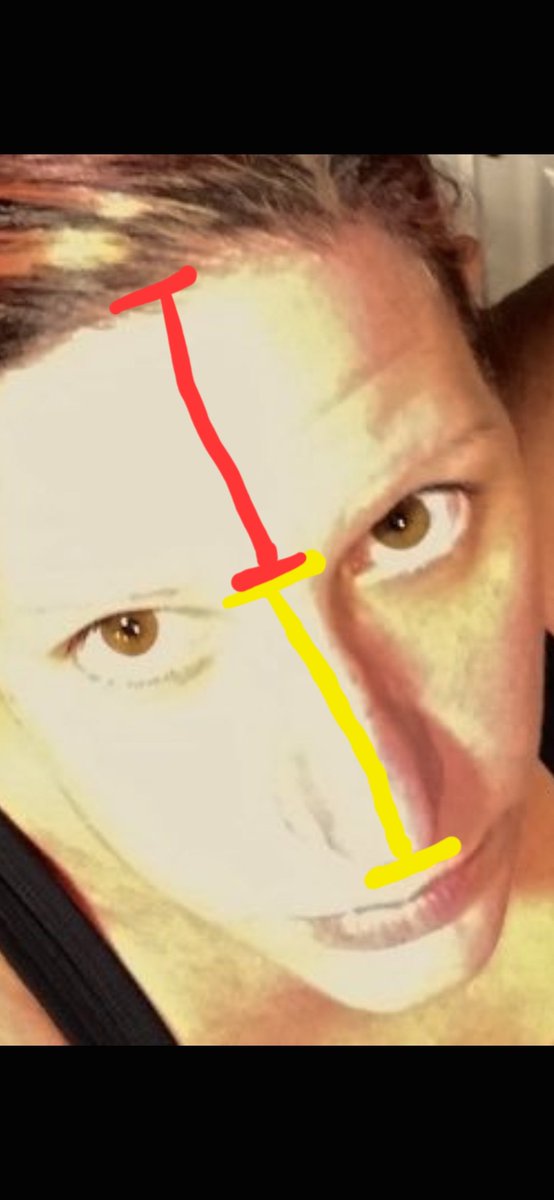 The3ThirdOption's tweet photo. @MrsMagdaBeard Because, damn. https://t.co/FVDKE2C7be