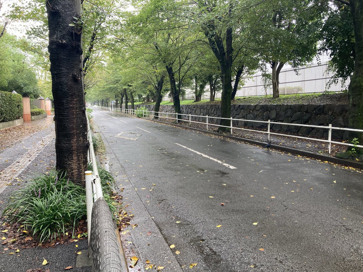 MusashinoKJ's tweet photo. 昨日9月19日(土)は味の素スタジアムで
SixTONESのライブが行われていたのですが
一夜明けてゴミや不法投棄が道のあちこちに😓

今回の運営はキョードー東京と記載されてますが、府中市側の市道には駐車禁止のパイロン設置がなく、主催者が調布市の方しか見てないのが浮き彫りになりました😅 https://t.co/xkFk1WMsQ5