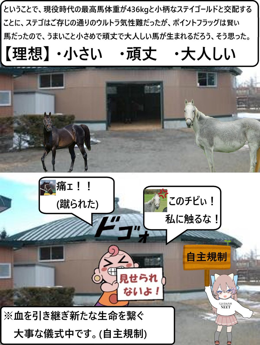NishiojiHaruka's tweet photo. #競馬 ゴールドシップ伝説0話 https://t.co/EhOEWiY4A2