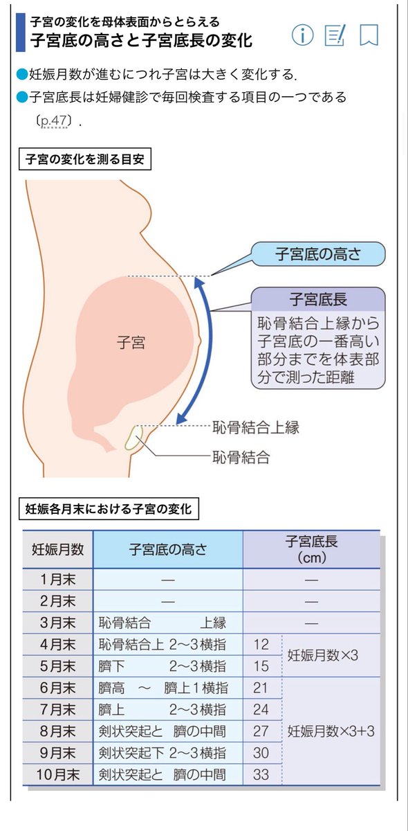 mayukoooobaby's tweet photo. 母体変化えぐい(ﾟﾛﾟ)
鉄分不足してそう

出典：病気がみえる産科 https://t.co/8GS5qiKQUx