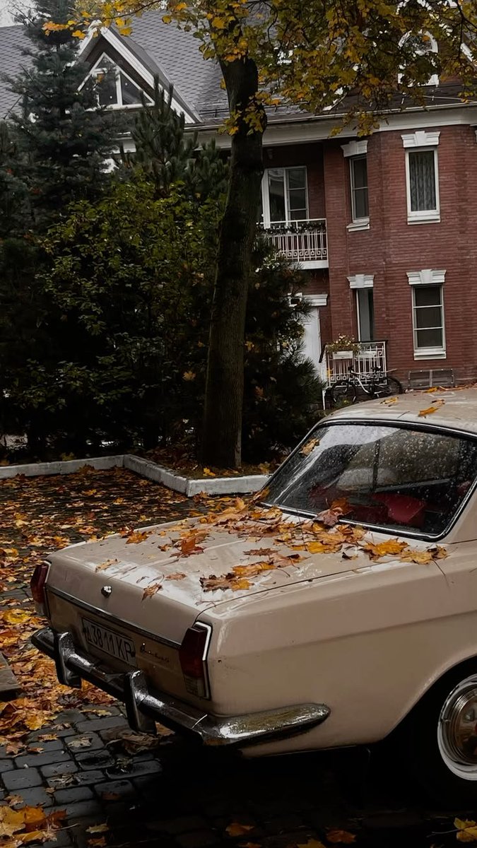 elyradream's tweet photo. autumn 🍂 https://t.co/XCYMPjc8Y1