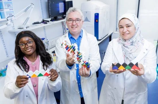 rollomars's tweet photo. Researchers at Maynooth University in Ireland just built the most complex and fastest DNA computer yet.

It performs addition, multiplication, and division using nothing but molecular interactions.

Published in Nature.

The future of computing might not be silicon. It might be a test tube. 🧬💻

#DNAcomputing #Nature