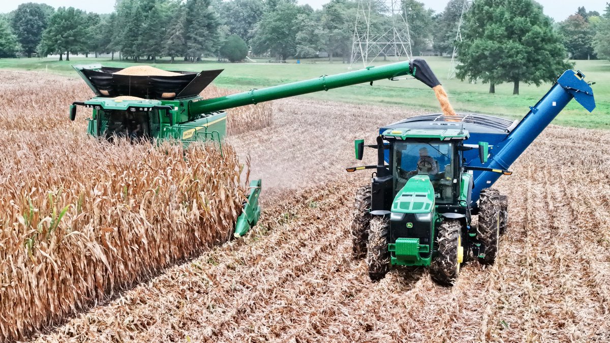 TheChadColby's tweet photo. #CabCorn itโs that time of year! https://t.co/LjqkTFLsFd