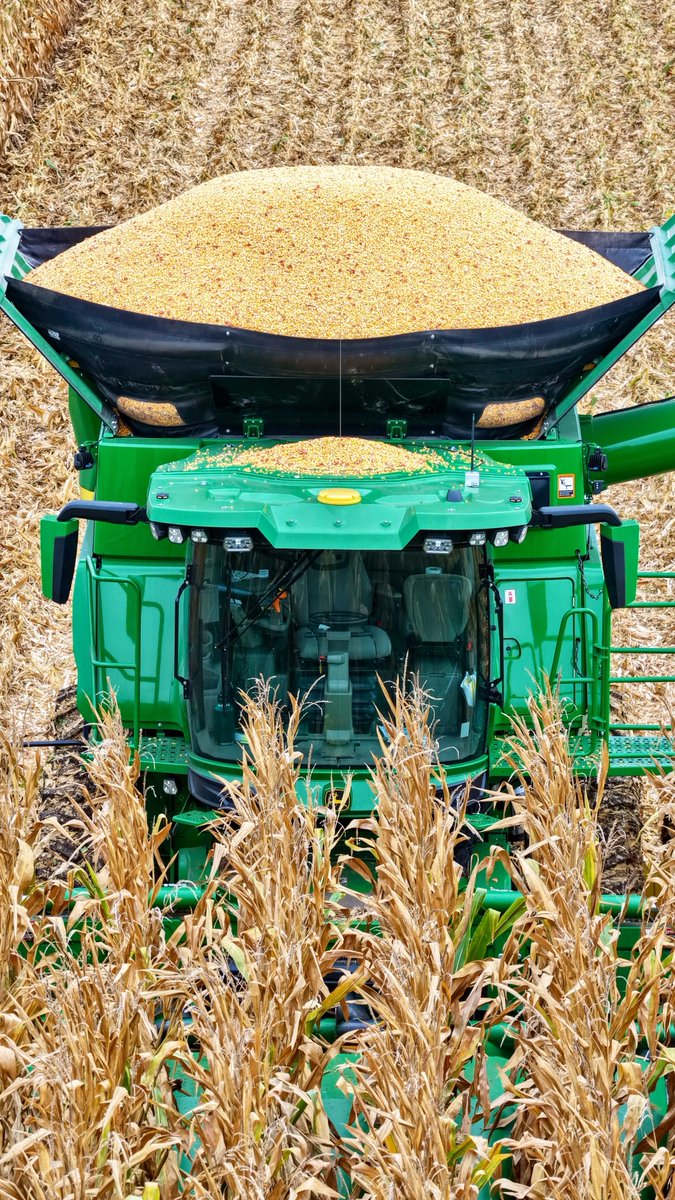 TheChadColby's tweet photo. #CabCorn itโs that time of year! https://t.co/LjqkTFLsFd