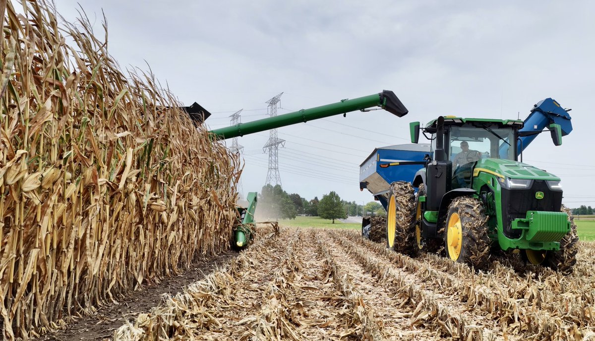 TheChadColby's tweet photo. #CabCorn itโs that time of year! https://t.co/LjqkTFLsFd
