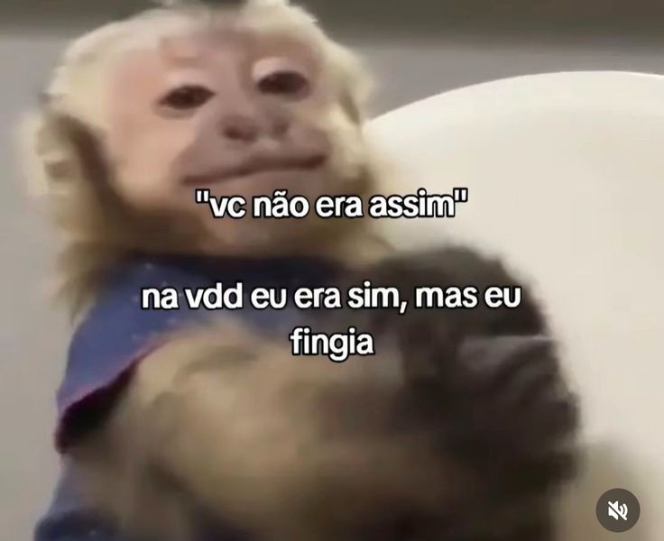 acervobichinho's tweet photo. https://t.co/A5BjCvtm9y