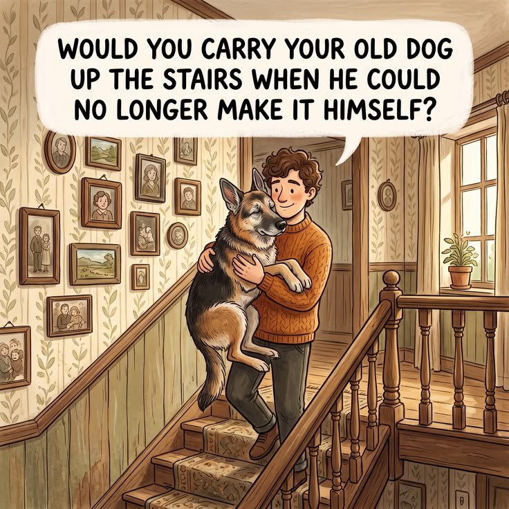 petpopular tweet picture