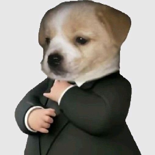 FakeMoogot's tweet photo. @kimmymints7 Tengo unas 2600hrs de trabajo acumuladas, me defiendo con el Excel, tengo buena voz y porte para trabajar de cara al público, entendí una repostería y ventas al mayor, me adapto facil a cualquier entorno, también trabajé de albañil unos meses y asistente de natación.  o7 https://t.co/K2HeoQzzVA