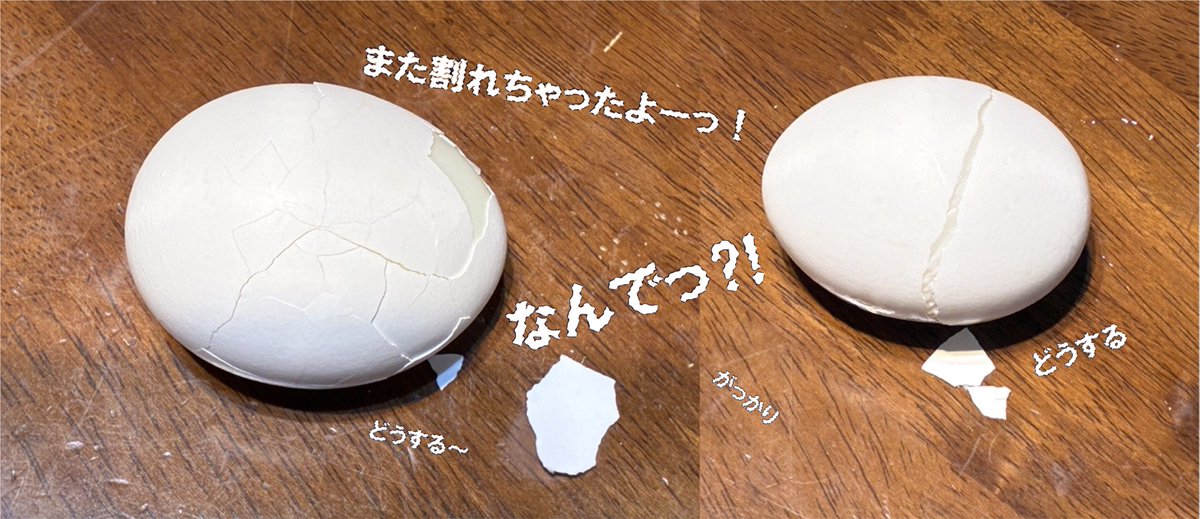 HiROti0k's tweet photo. 割れない ”ゆで卵” どう茹でればいい？
アドバイス下さい😟😩 https://t.co/Q7IhCA9Nmm