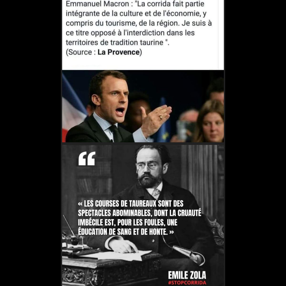 AdeaClaude's tweet photo. #anticorrida 
#Stopcorrida https://t.co/z5fEafMKd2