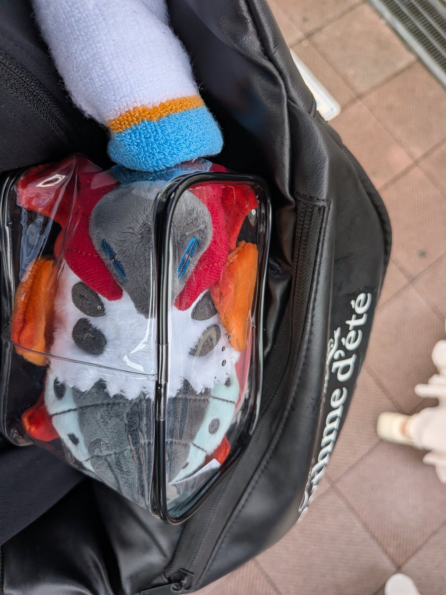 hito2015117's tweet photo. ポケモンチャンピオンズのレギュM-Bでの相棒ウルガモスお迎えした
せまそうでごめんな https://t.co/VT5jO16gOc