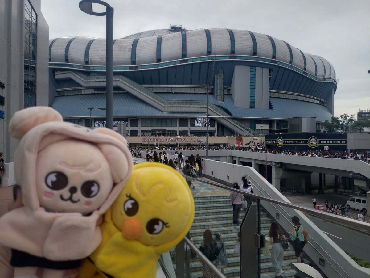 shizueeeoredaaa's tweet photo. きたどーーーん https://t.co/jcTe3HvmpS