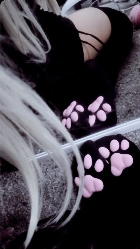 purrf3ct_ang3l's tweet photo. what i would do to get these socks 
૮꒰◞ ˕ ◟ ྀི꒱ა https://t.co/K5FBodJnar