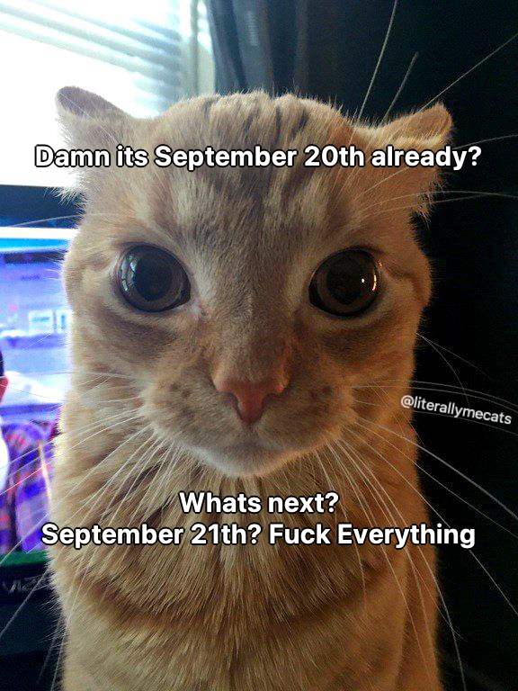 literallymecats's tweet photo. https://t.co/JAr05mxZfW