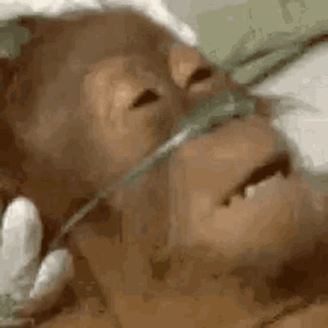 http_413's tweet photo. @haydendevs guessing terra is on life support rn with constrained compute. it was so bad they likely aren't planning a gpt-6 terra. https://t.co/Pvhh2uDWYr