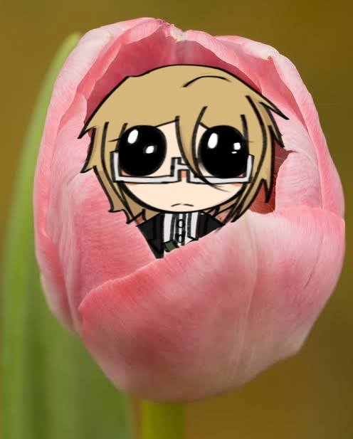 Multiifandom123's tweet photo. Baby byakuya  #byakuyatogami https://t.co/uYx1NSK6du