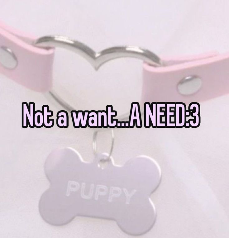 needypupim's tweet photo. ehhh me me me ;33 https://t.co/r22EG30KCC