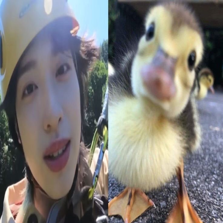ohsuami's tweet photo. kok bisa ya jiseok itu punya marga KWAK yang sangat cocok dengan fitur mukanya yang KWEK https://t.co/HpkDS68dbl