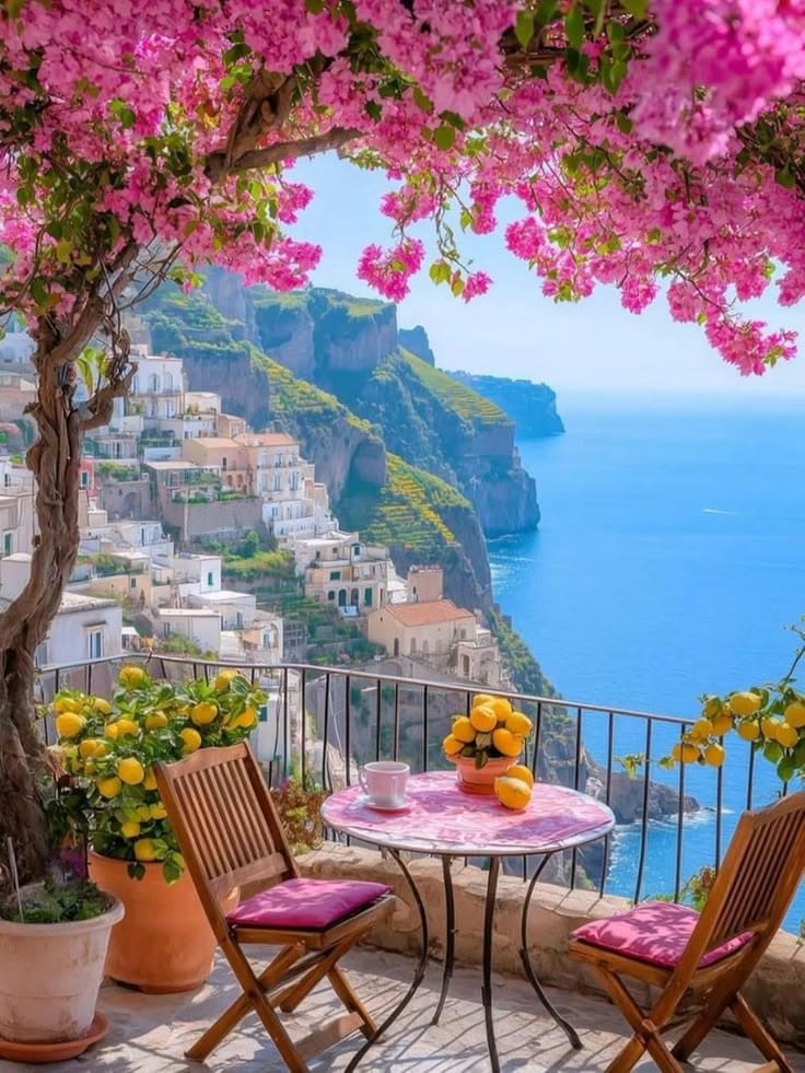 Vibragamefans2's tweet photo. Coastal views, blooming flowers, and peaceful corners remind us that beauty often lives in the simplest surroundings. Every place has a story, and every moment can become a beautiful memory.

#NatureEscape #TravelMoments #BeautifulPlaces #PeacefulViews https://t.co/EibjEcmyS7