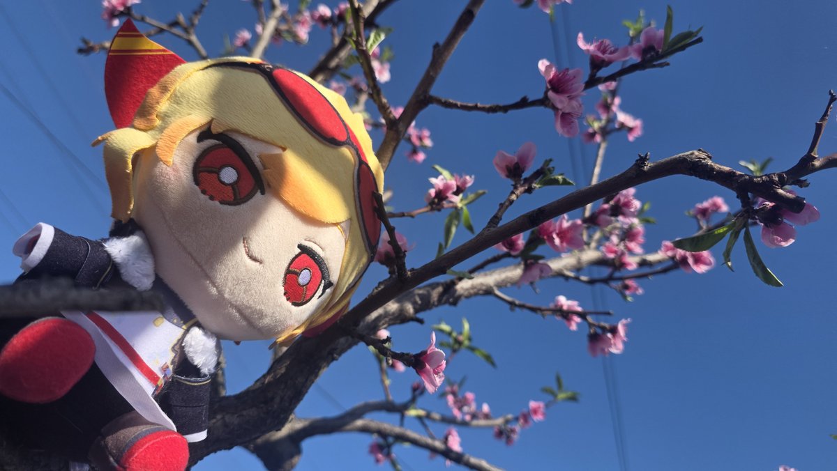 rahko_'s tweet photo. Kaela has aura https://t.co/WukTQinGbe