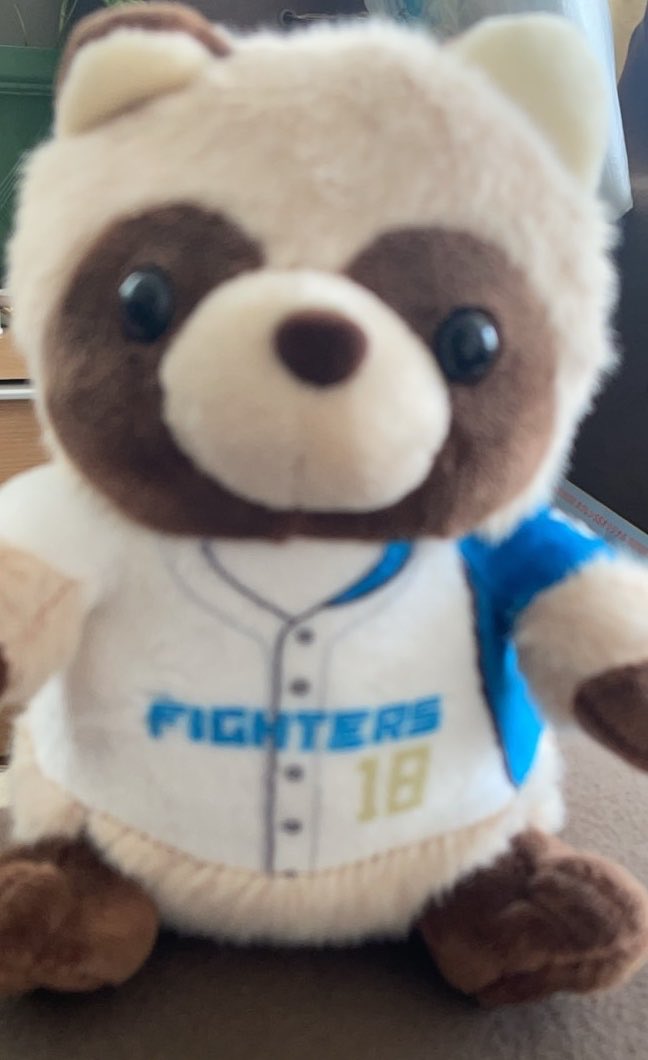 yuunaa5831's tweet photo. ファイターズ　交換
たぬき　ぬいぐるみくじ

【譲】4等18山﨑福也投手
【求】60吉田賢吾選手（どの賞でも可）

9/22〜24エスコンにて交換可能な方よろしくお願いいたします🙇 https://t.co/rm4TjinGzM