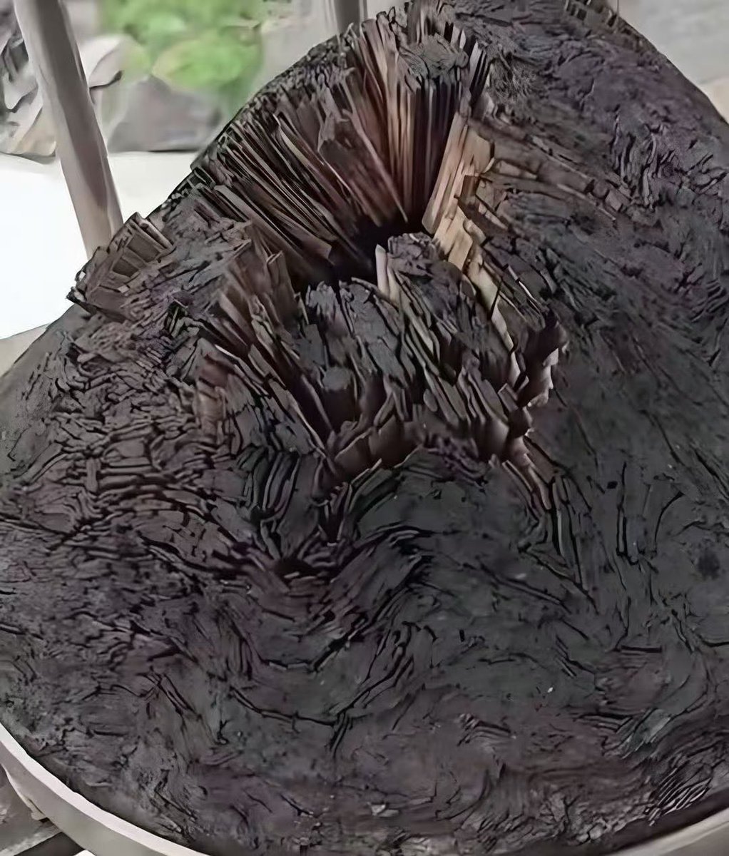 Stanley 的图片 1