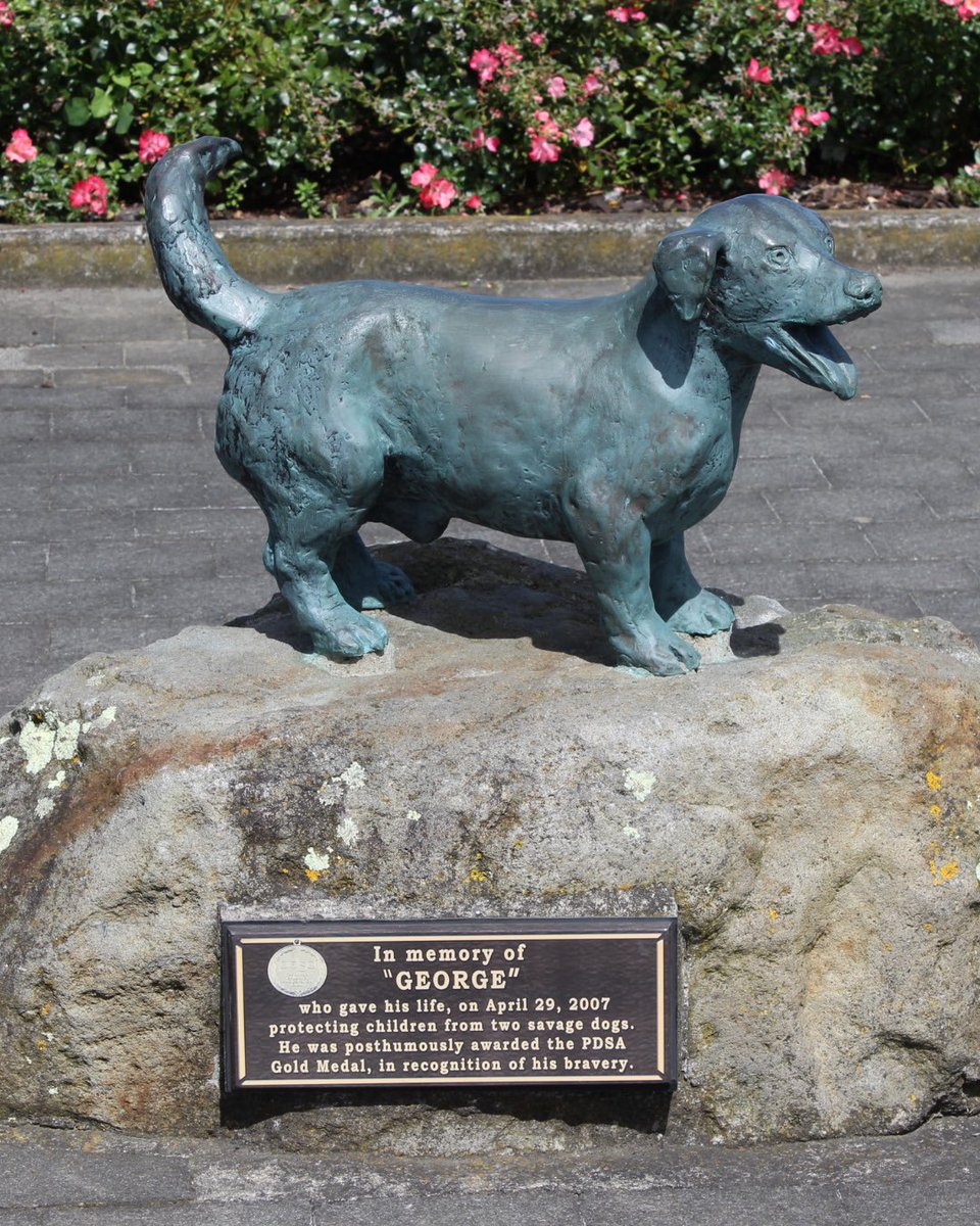 Complex's tweet photo. ‘George’ the tiny Jack Russell who gave his life protecting five children from pit bulls in New Zealand. 

‘George’ was badly injured and later had to be put down, but his actions were credited with potentially saving the children’s lives. He was later honored with a PDSA Gold Medal for animal bravery.