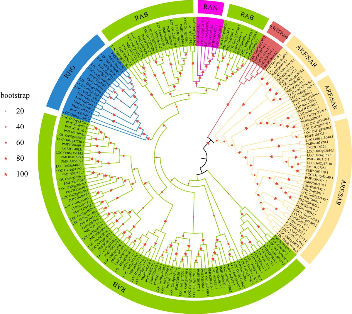 GrassResearch's tweet photo. #GrassResearch #AbioticStress #GeneFamily
This work 📊 reveals 63 multi‑stress‑responsive small GTPase genes under salt, heat and drought in pearl millet. 
@MaximumAcademic
Details: https://t.co/6dM8BPzNTc https://t.co/vyjAVsZjUq