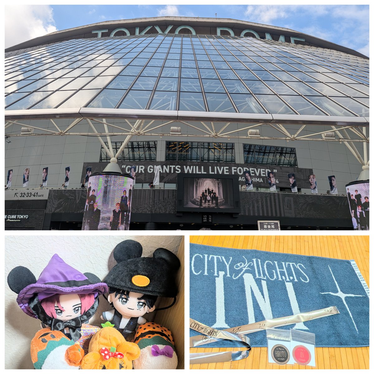 sun_143_flower's tweet photo. 私にとっても初めての東京ドーム！久々アリーナで迅タオルは売り切れでINIタオルと西松シール購入☺️🍀銀テもGETして凄く楽しめたライブで次の日はD-Seaに行ってほんと夢のような2日間でうちの西松におばけちゃん帽子被せる🎃ヘロヘロで帰宅したら旅行のお片付けと体のメンテが始まり今日は洗濯祭り🫠🍀 https://t.co/tBs97RrXpD