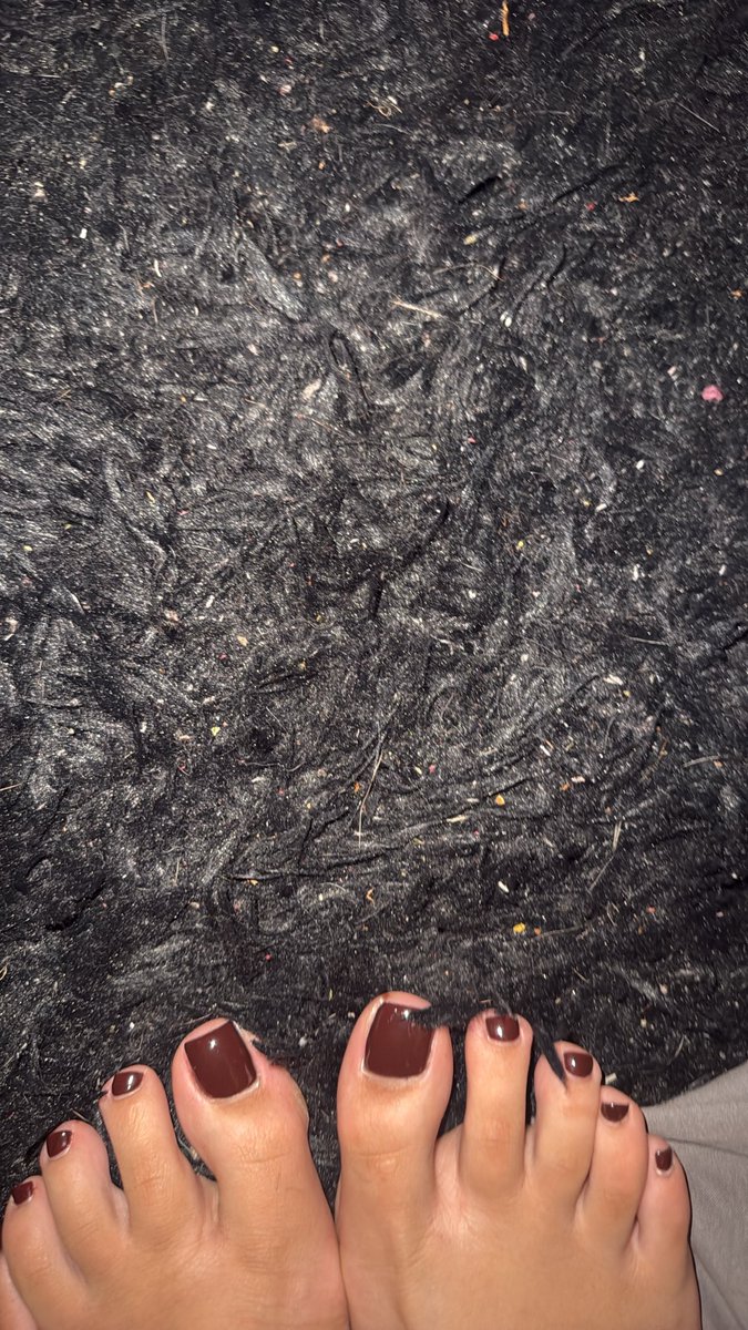toxictiptoe's tweet photo. who wants to se my soles after walking on this crumby carpet ? #sellingcontent #feet #soles #foot #paypig https://t.co/CoCAEekb3g