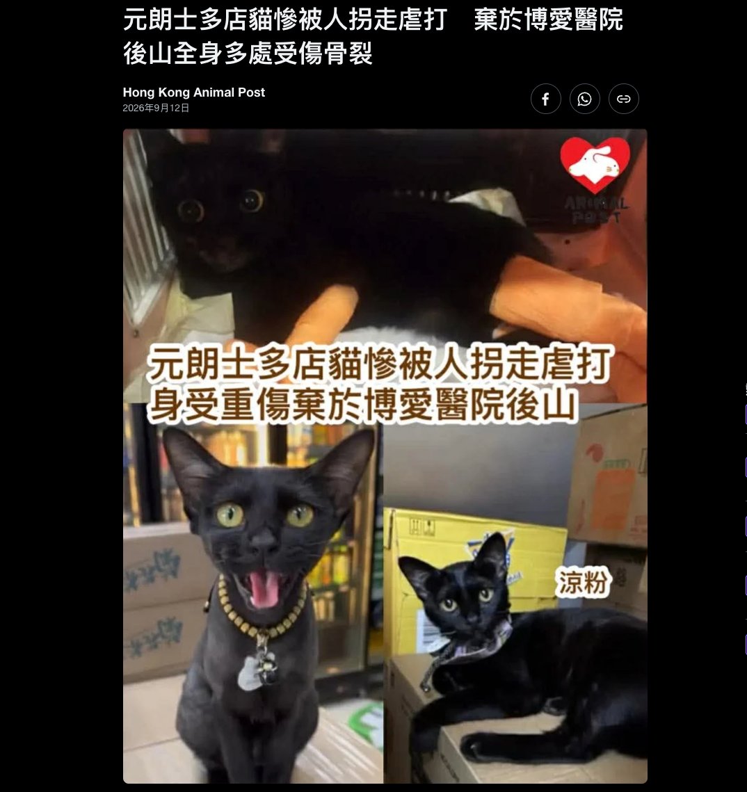 burbering1's tweet photo. 香港元朗士多店的小猫凉粉，被人恶意拐走后遭到残忍虐打。
送医检查发现全身多处受伤、骨裂，小小的身躯承受了难以想象的痛苦。
凉粉本是店里温顺可爱的小猫，却平白遭遇这种伤害。
希望大家一起为凉粉发声，关注这起虐猫案件，期待施暴者被绳之以法。
虐待动物绝非小事，愿所有小动物都能远离伤害，不再承受这种无端的苦难。
https://t.co/nc7uqIAAu2
