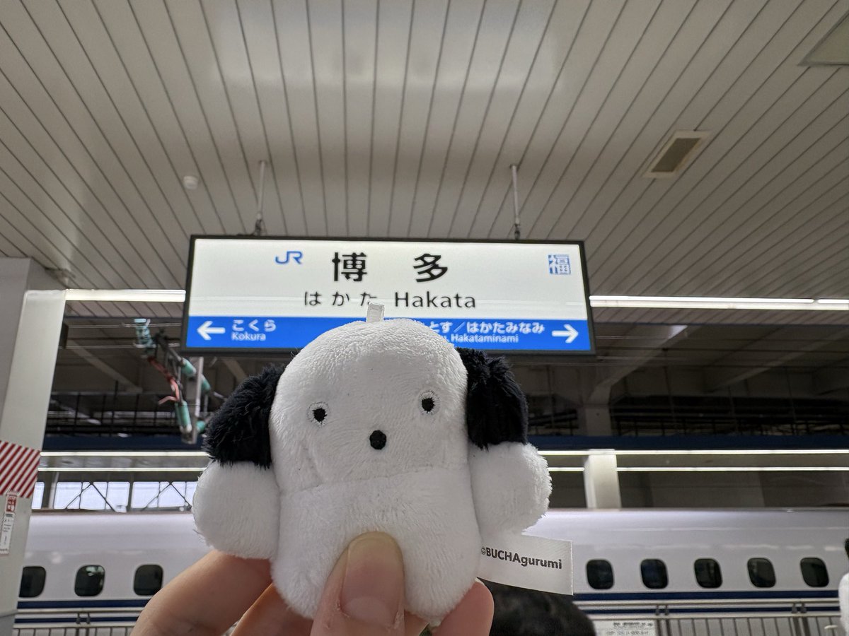 kohaharo's tweet photo. きた！ https://t.co/fxHMXvz0C5