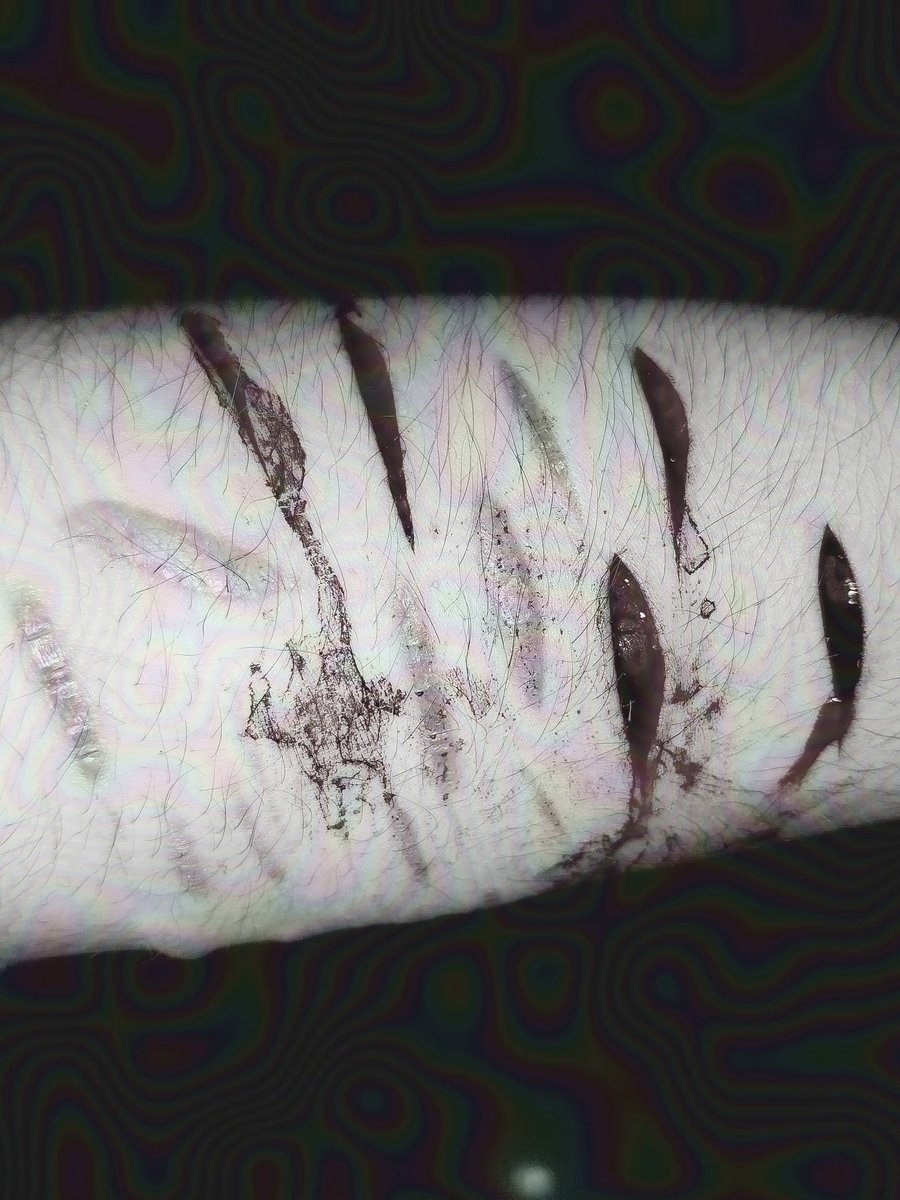 d3monfailure's tweet photo. TW: sfx makeup 

how can it already look this small what https://t.co/xzgzG9VIJ6