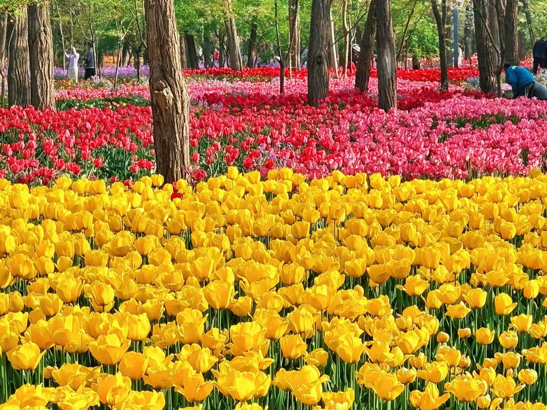 aliom750990's tweet photo. I love you. Not only for what you are but also what you have made of me.
青岛z市南x市北c李沧v崂山b城阳n黄岛m即墨a #青岛  🦀🌛个人联系→@ytup55678 https://t.co/n4mVz3URgf
